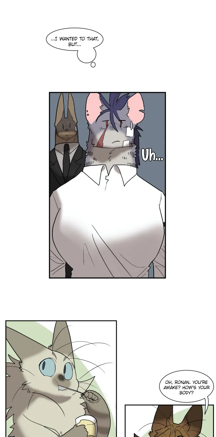 Miss Kitty And Her Bodyguards Chapter 132 page 8 - MangaKakalot