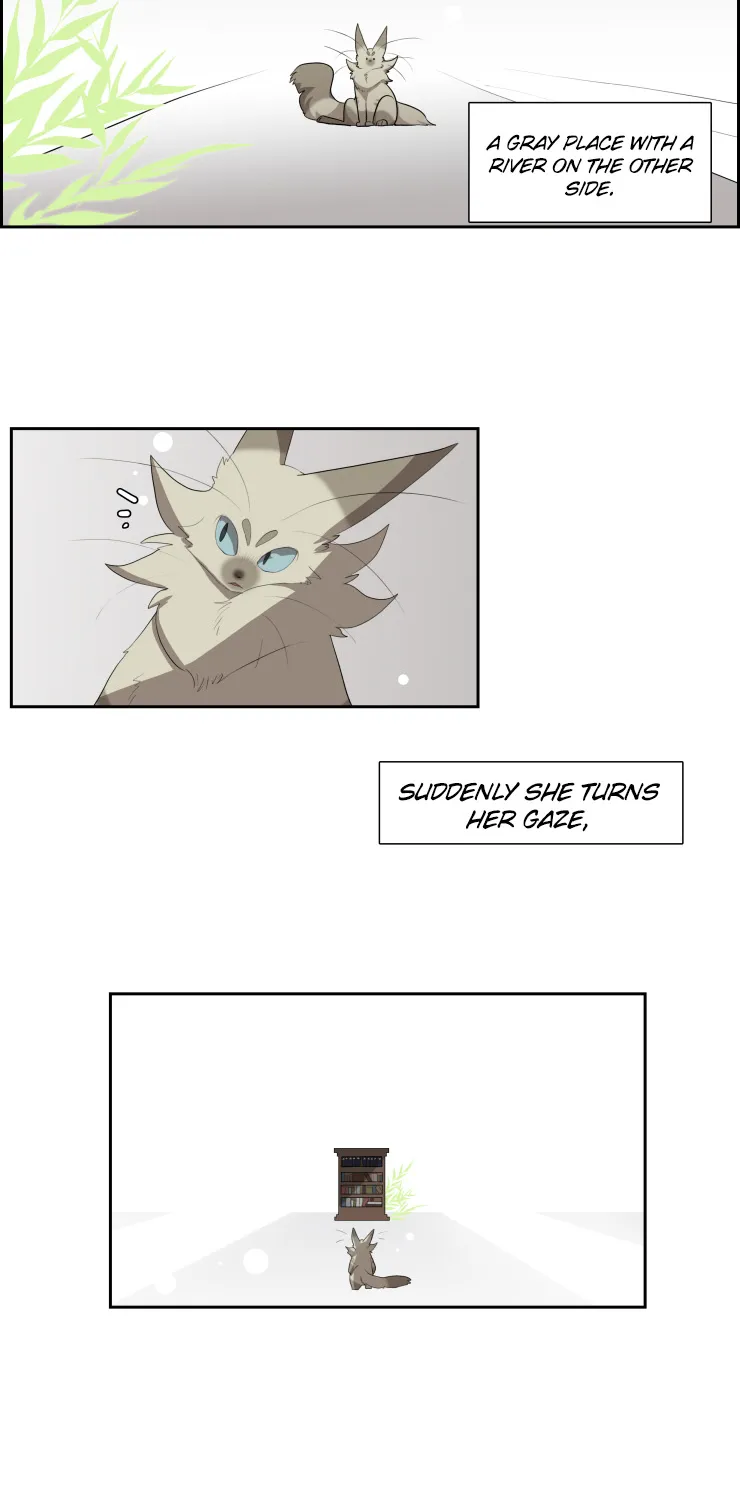 Miss Kitty And Her Bodyguards Chapter 178 page 4 - MangaKakalot