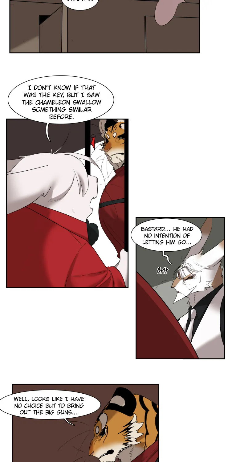 Miss Kitty And Her Bodyguards Chapter 236 page 5 - MangaKakalot