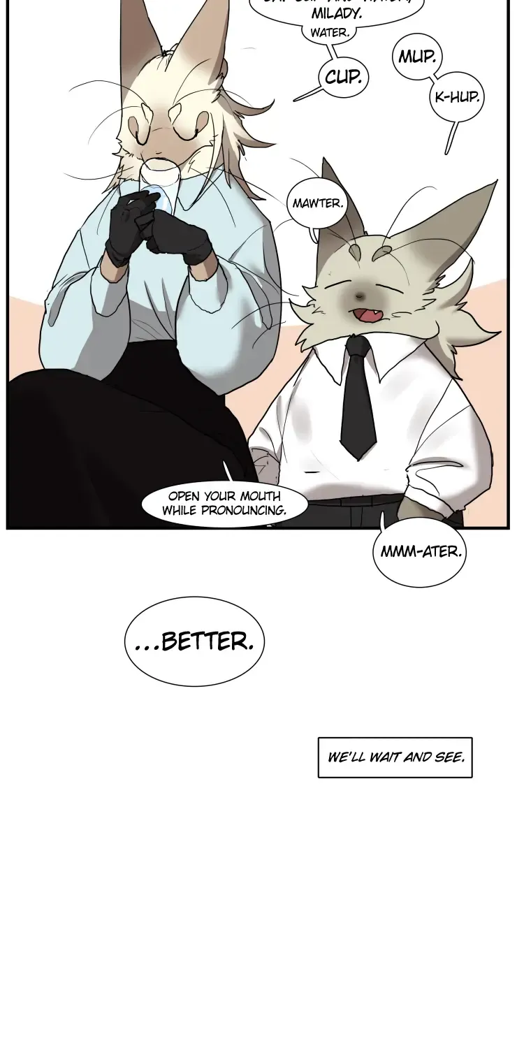 Miss Kitty And Her Bodyguards Chapter 247 page 17 - MangaKakalot