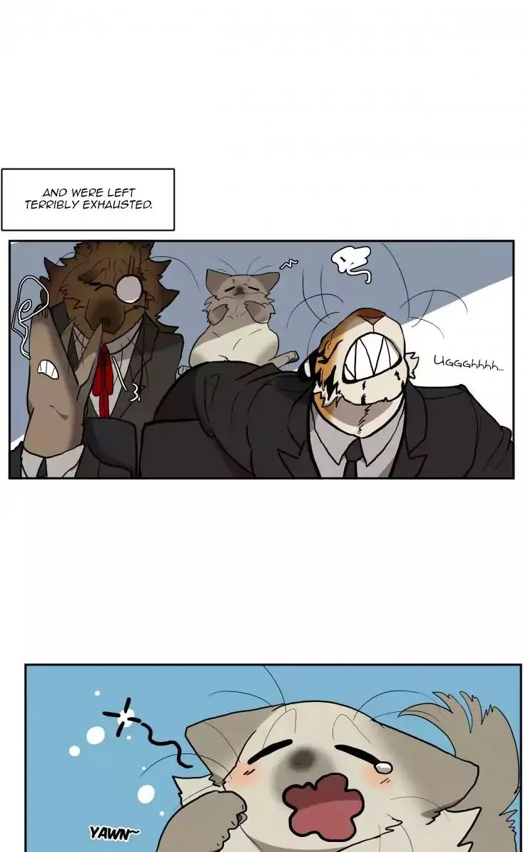 Miss Kitty And Her Bodyguards Chapter 62 page 14 - MangaKakalot