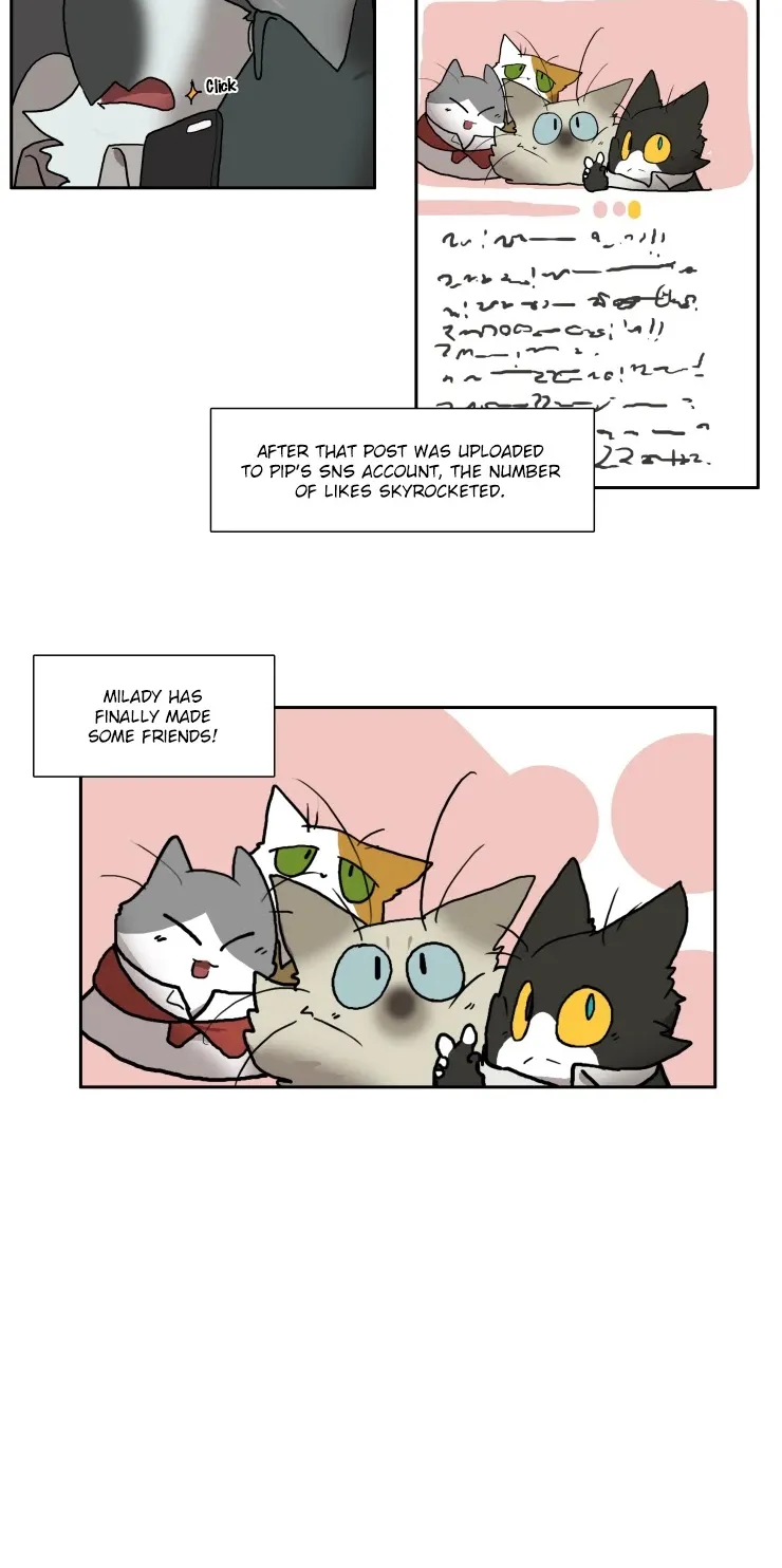 Miss Kitty And Her Bodyguards Chapter 91 page 11 - MangaKakalot