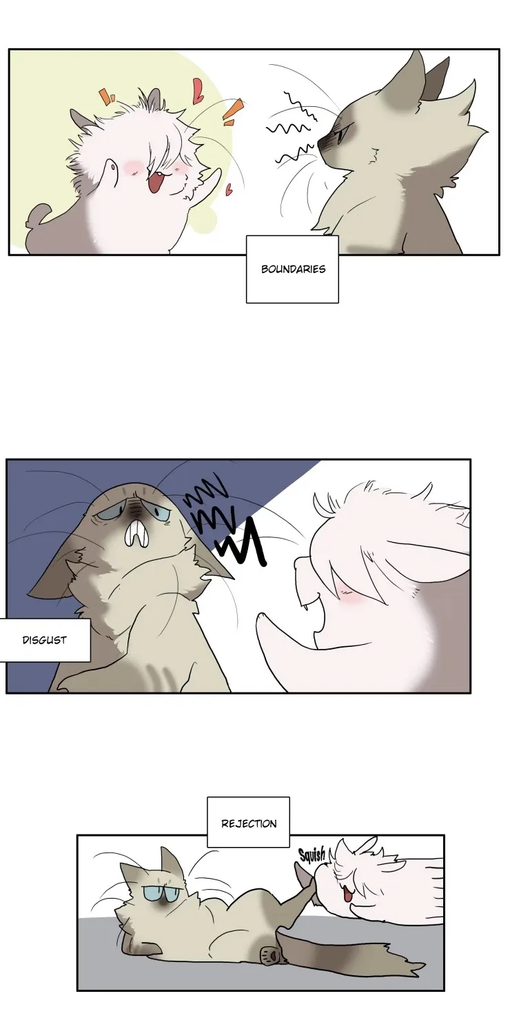 Miss Kitty And Her Bodyguards Chapter 91 page 5 - MangaKakalot