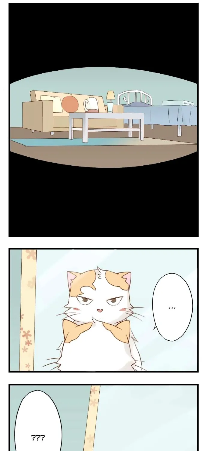 Mister Cat Chapter 17 page 4 - MangaKakalot