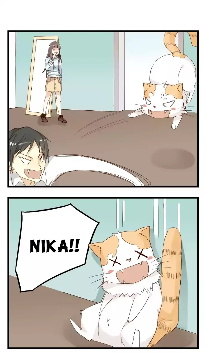 Mister Cat Chapter 19 page 8 - MangaKakalot