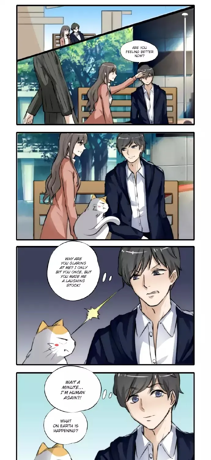 Mister Cat Chapter 21 page 8 - MangaKakalot