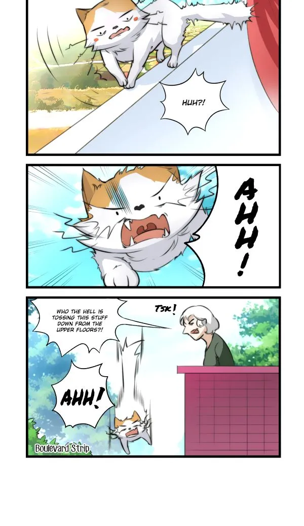 Mister Cat Chapter 23 page 7 - MangaKakalot