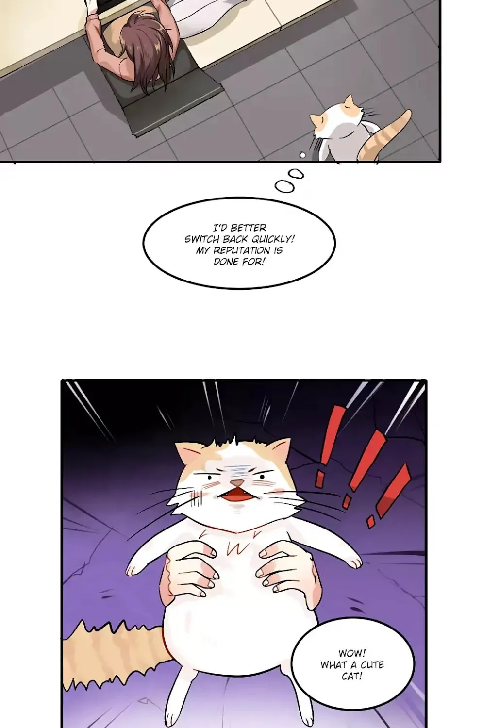 Mister Cat Chapter 25 page 3 - MangaKakalot