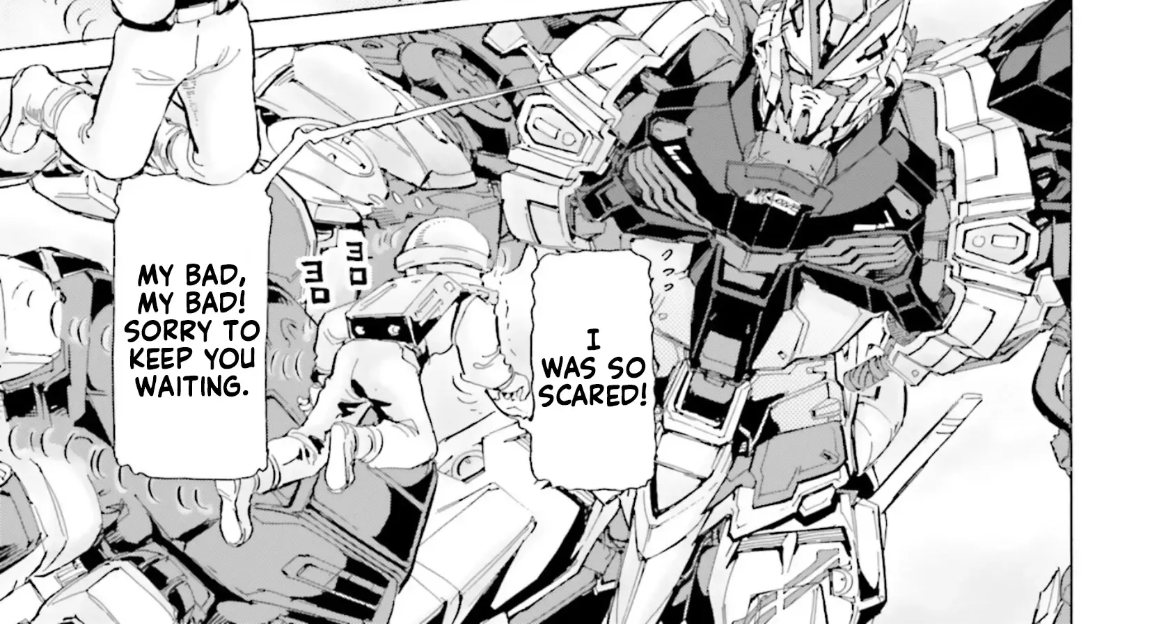 Mobile Suit Gundam Seed Astray R - Page 29