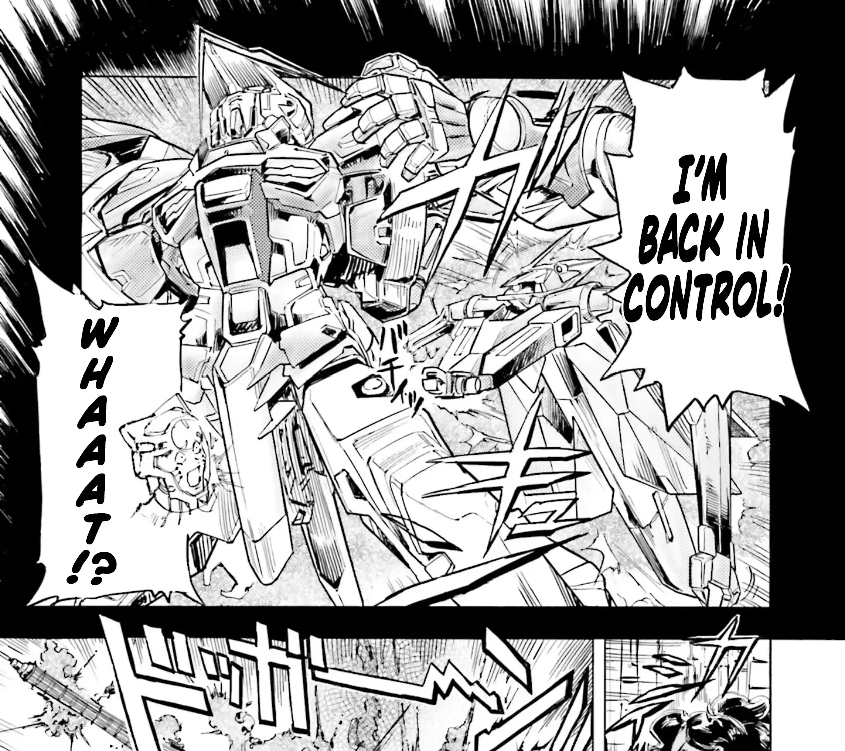 Mobile Suit Gundam Seed Astray R - Page 48