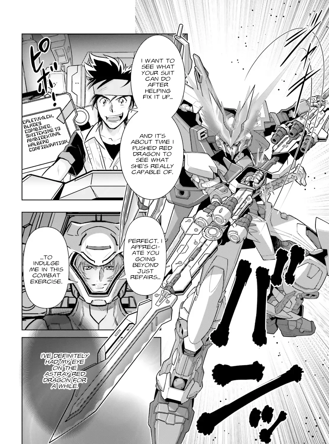 Mobile Suit Gundam SEED FREEDOM ASTRAY - Page 10