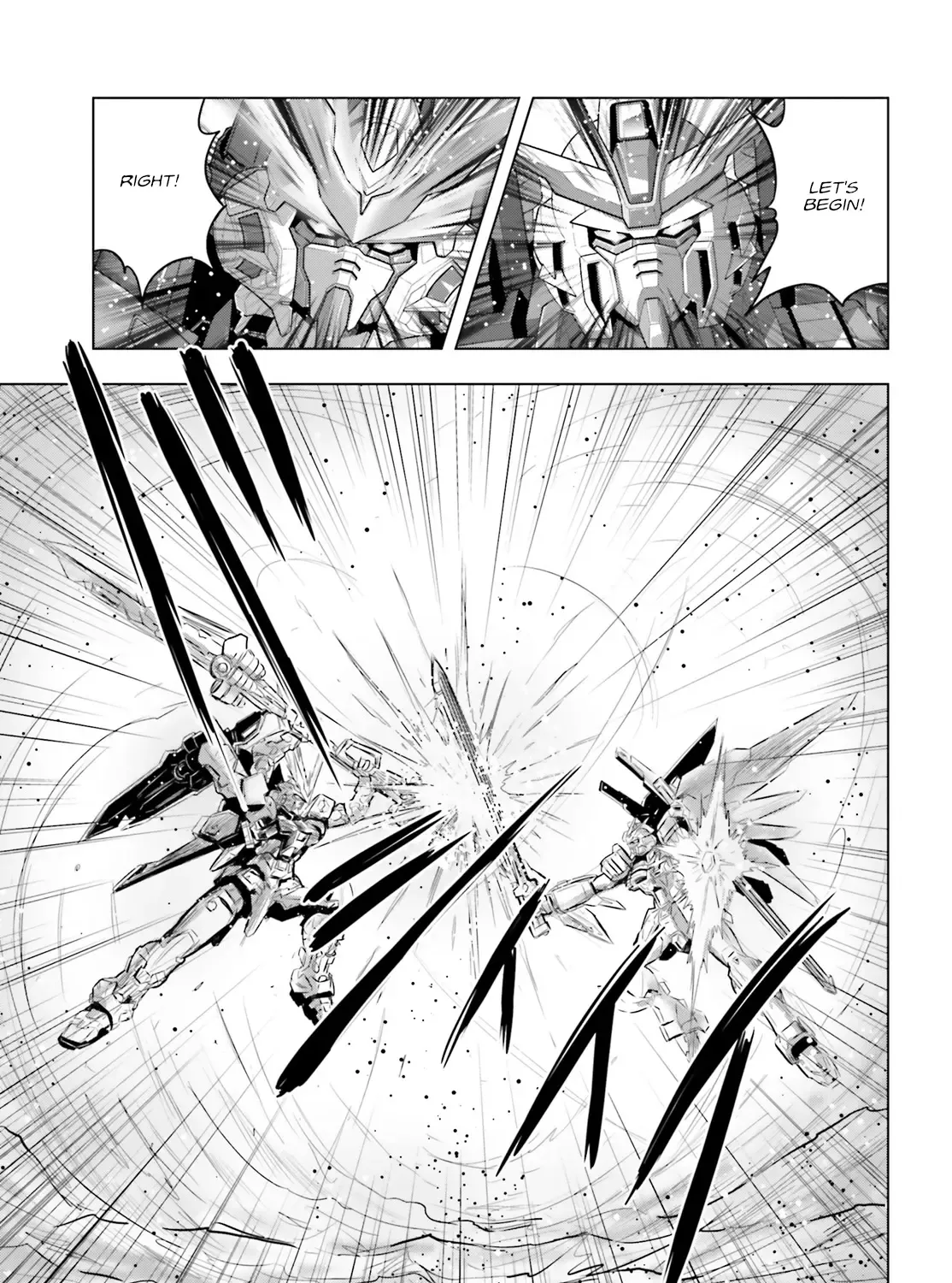 Mobile Suit Gundam SEED FREEDOM ASTRAY - Page 12