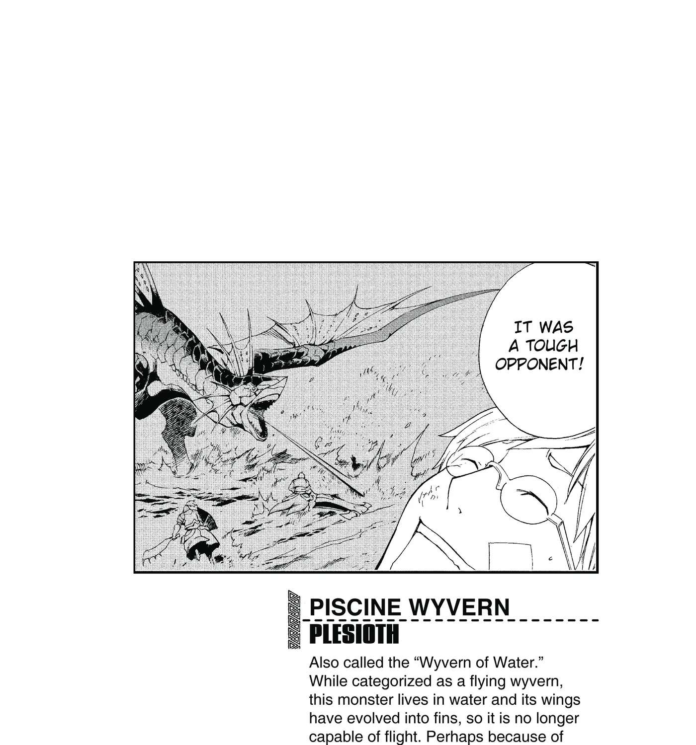 Monster Hunter - Senkou No Kariudo - Page 46