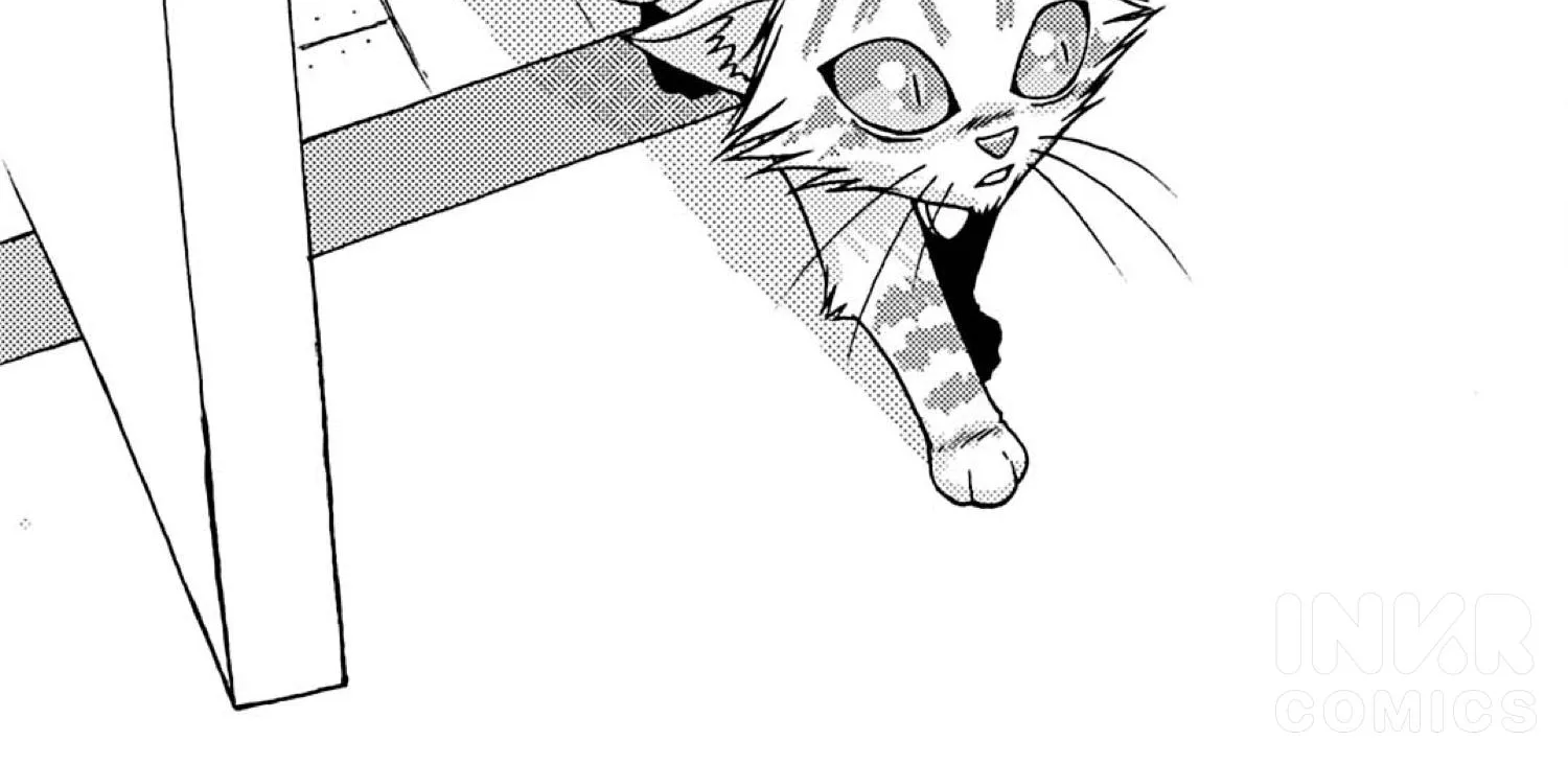 My Cat Loki Chapter 6 page 44 - MangaKakalot