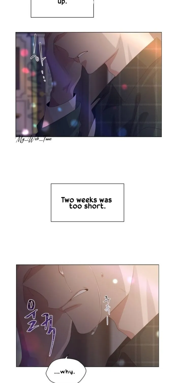 My Ex-Boyfriends Fell In Love With Me Chapter 41 page 14 - MangaKakalot