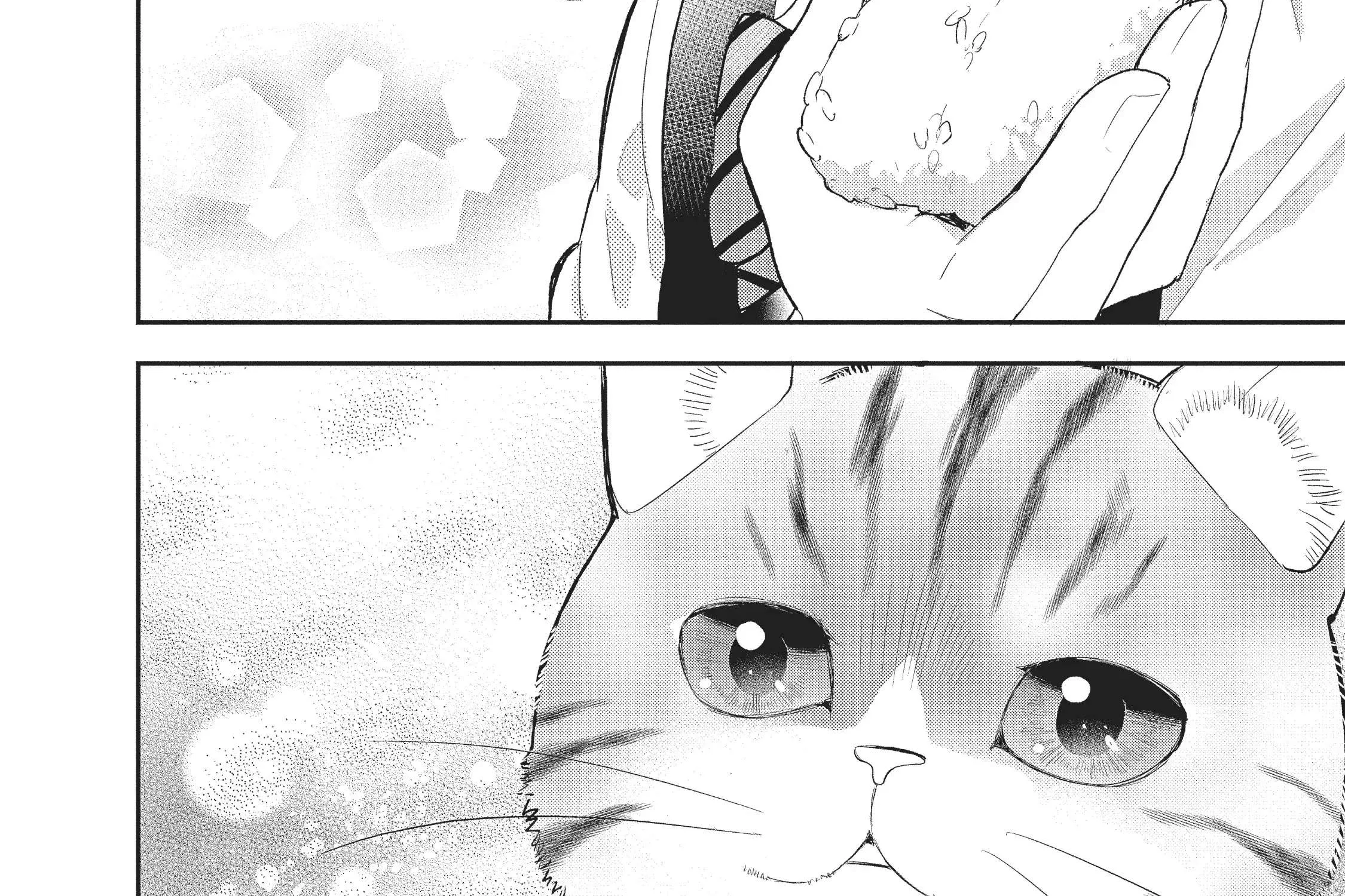 My New Life as a Cat Chapter 1 page 44 - MangaKakalot