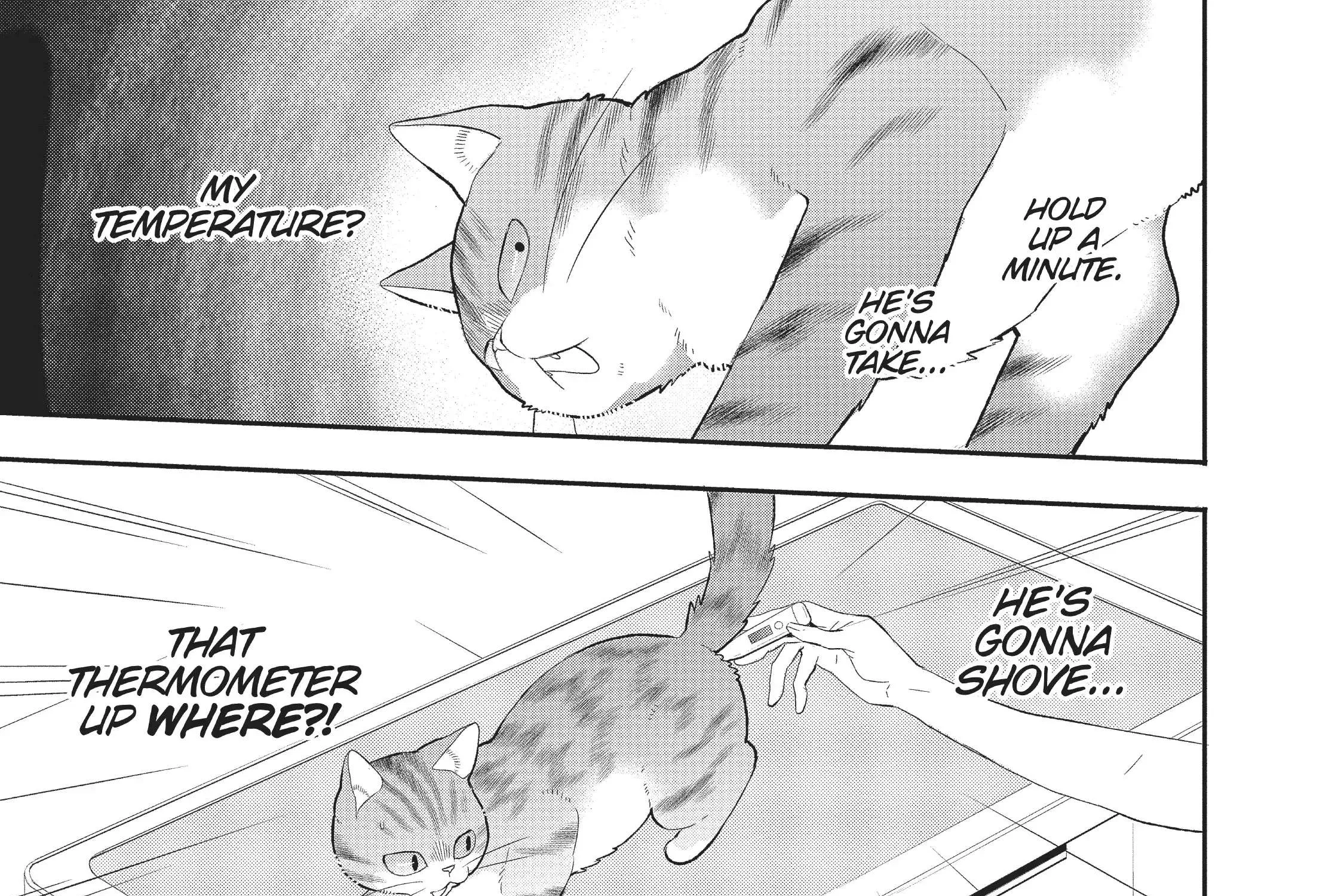 My New Life as a Cat Chapter 4 page 43 - MangaKakalot