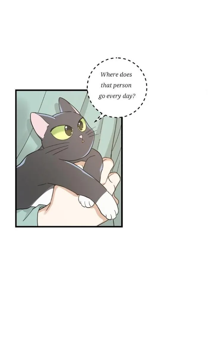 My One And Only Cat Chapter 27.1 page 18 - MangaNato