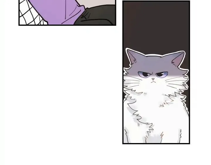 My One And Only Cat Chapter 3 page 60 - MangaNato