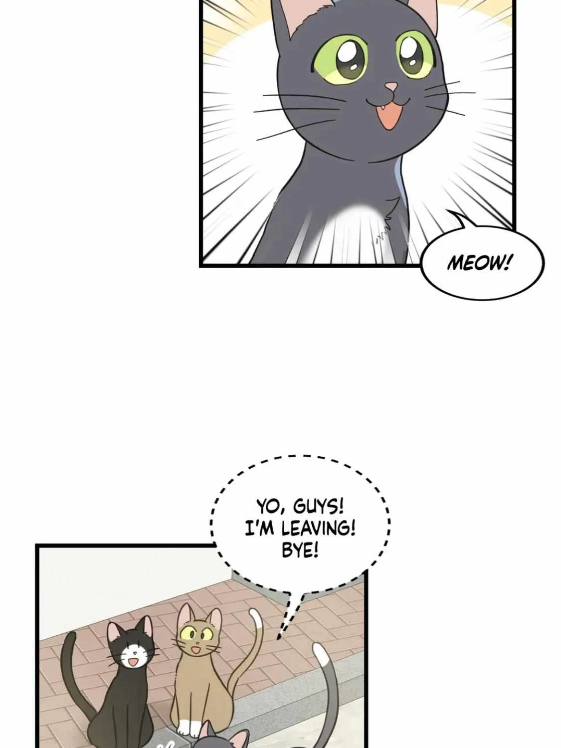 My One And Only Cat Chapter 54 page 28 - MangaNato