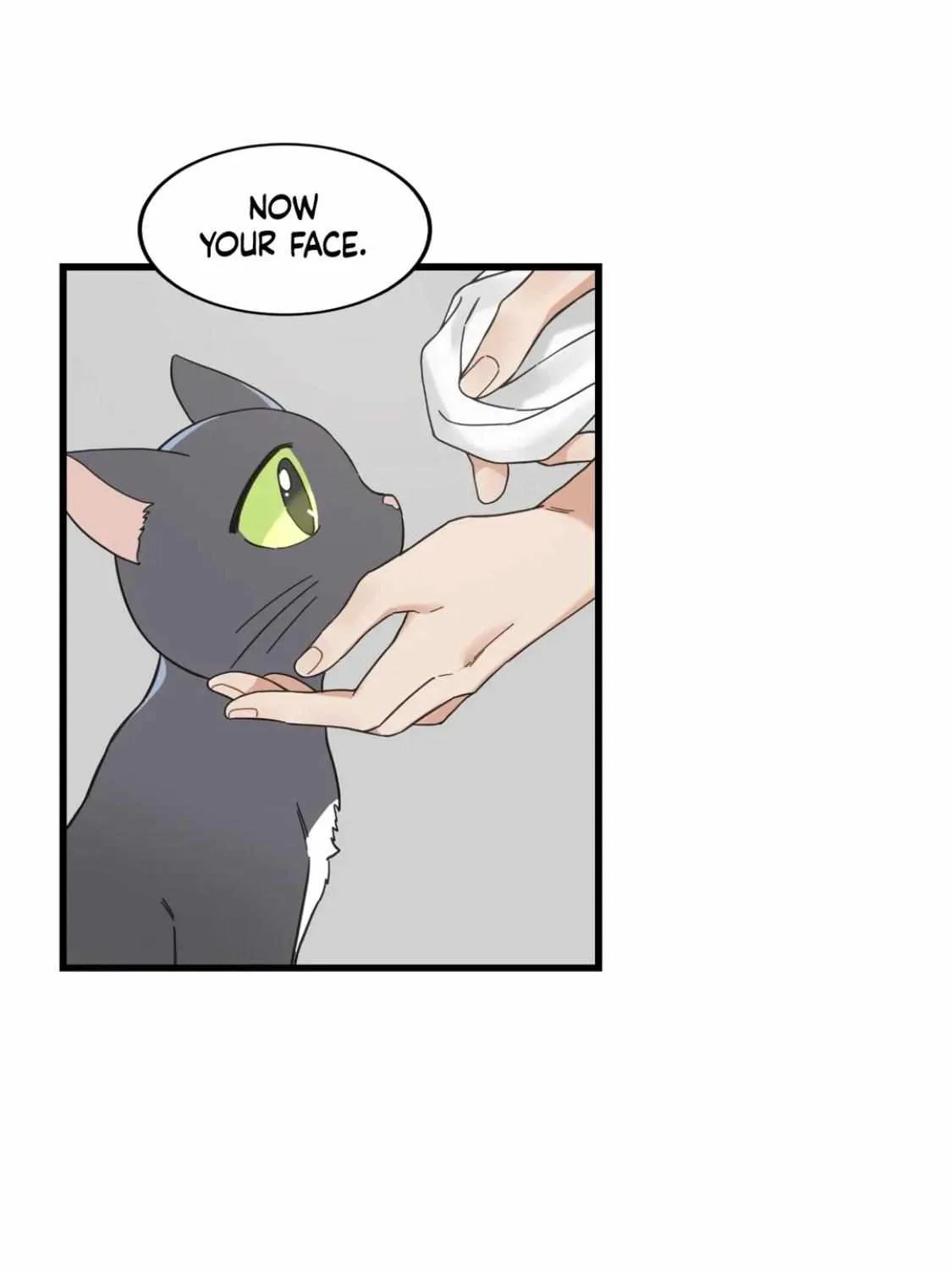 My One And Only Cat Chapter 54 page 36 - MangaNato