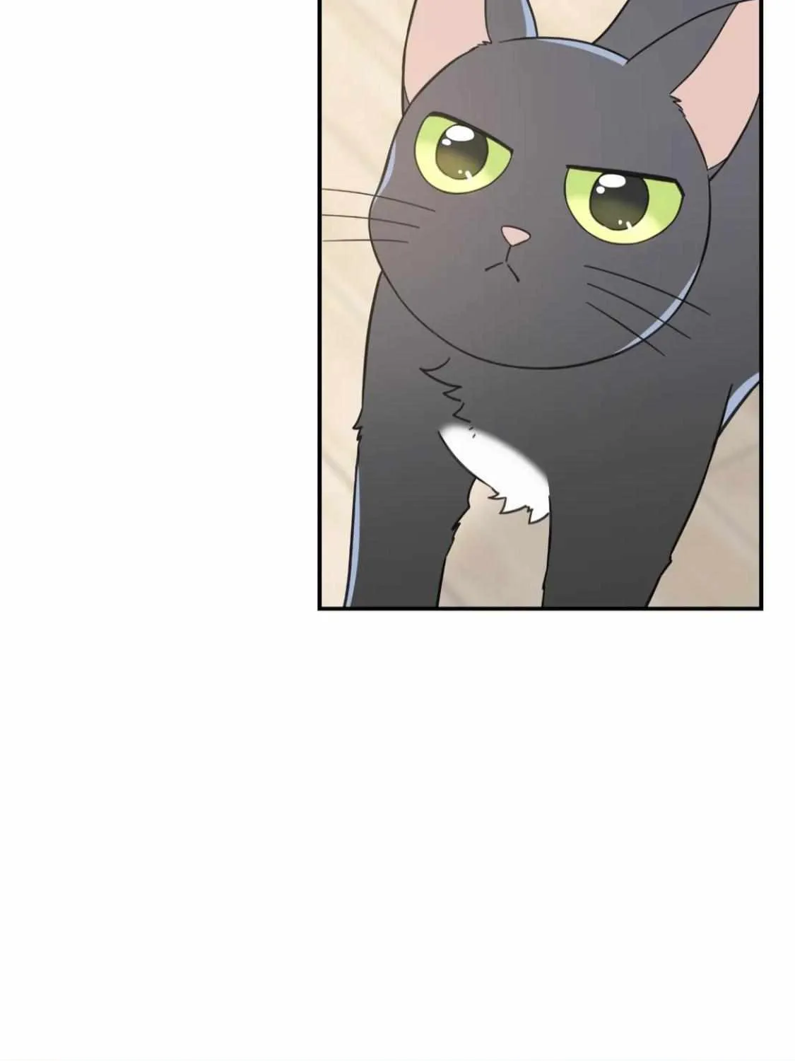 My One And Only Cat Chapter 59 page 106 - MangaNato