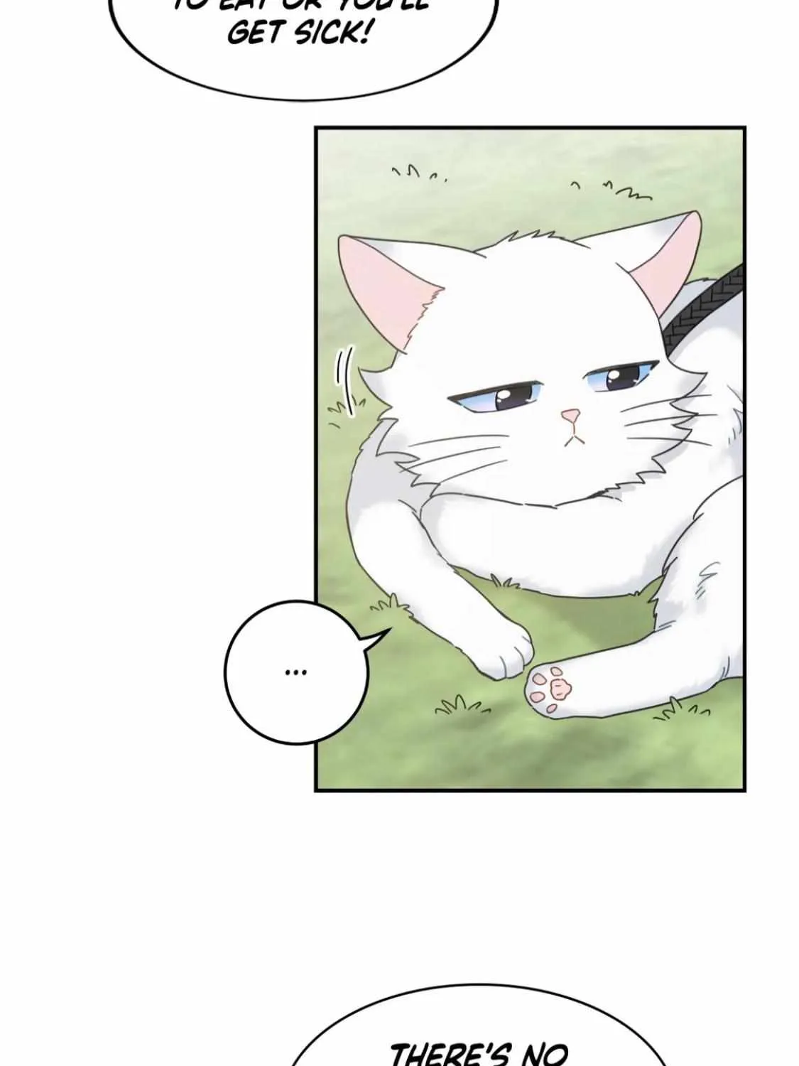 My One And Only Cat Chapter 62 page 35 - MangaNato