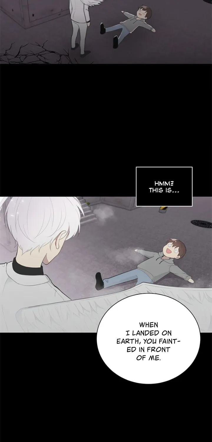 My Own Contract Angel Chapter 2 page 31 - MangaNato