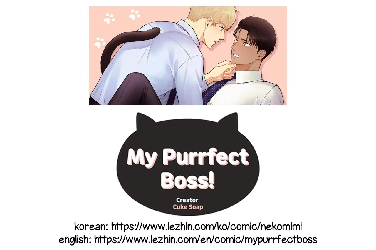 My Purrfect Boss! Chapter 14 page 1 - MangaKakalot