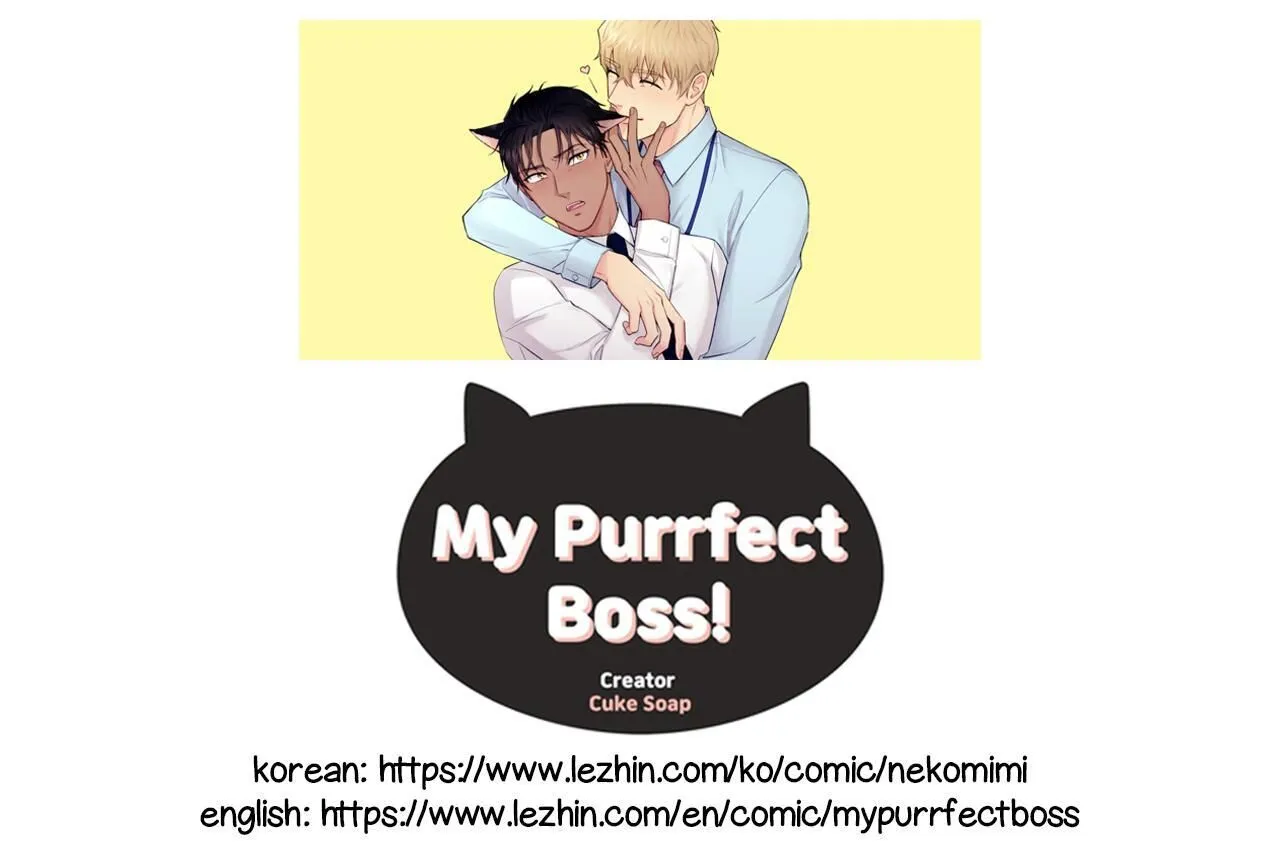 My Purrfect Boss! Chapter 23 page 1 - MangaKakalot