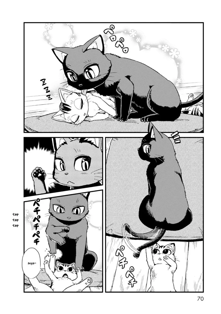 Neko Musume Michikusa Nikki Chapter 83 page 4 - MangaKakalot