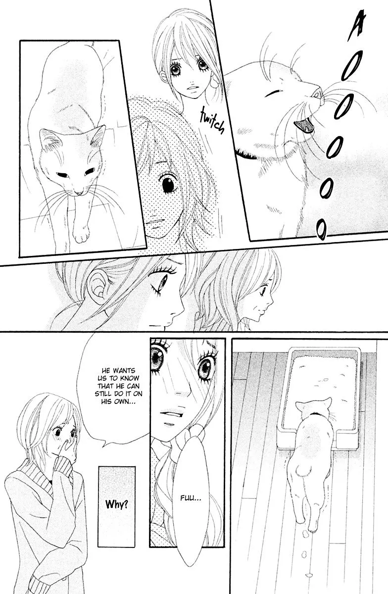 Neko to Kurasu Chapter 1 page 78 - MangaKakalot