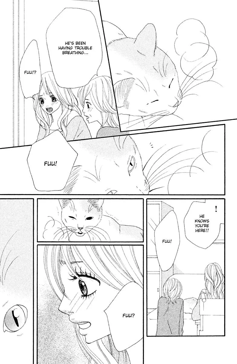 Neko to Kurasu Chapter 1 page 89 - MangaKakalot