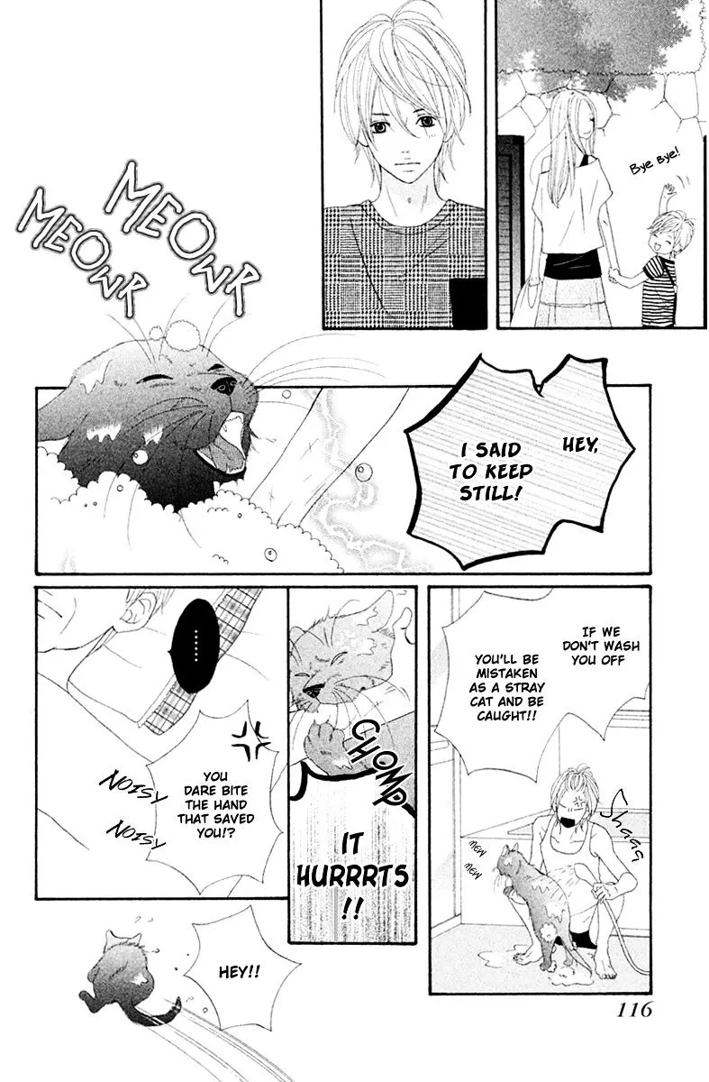 Neko to Kurasu Chapter 2 page 17 - MangaKakalot