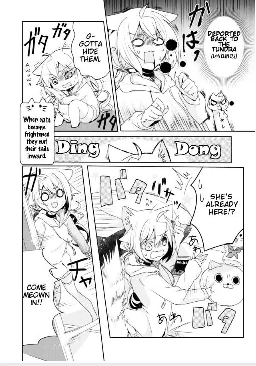 Nekomusume Shoukougun - Page 3