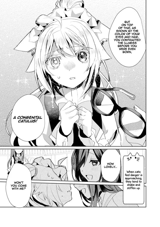 Nekomusume Shoukougun - Page 8