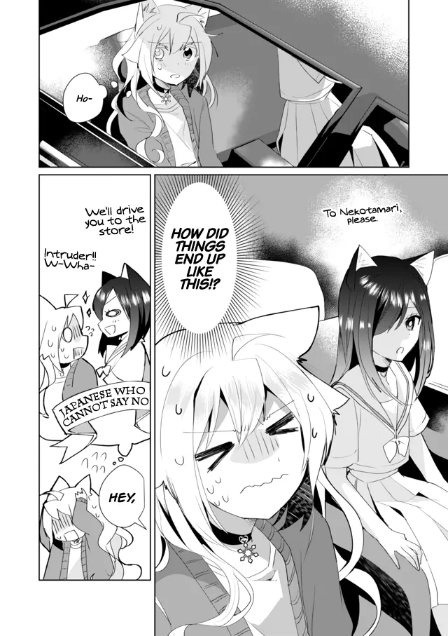 Nekomusume Shoukougun - Page 3