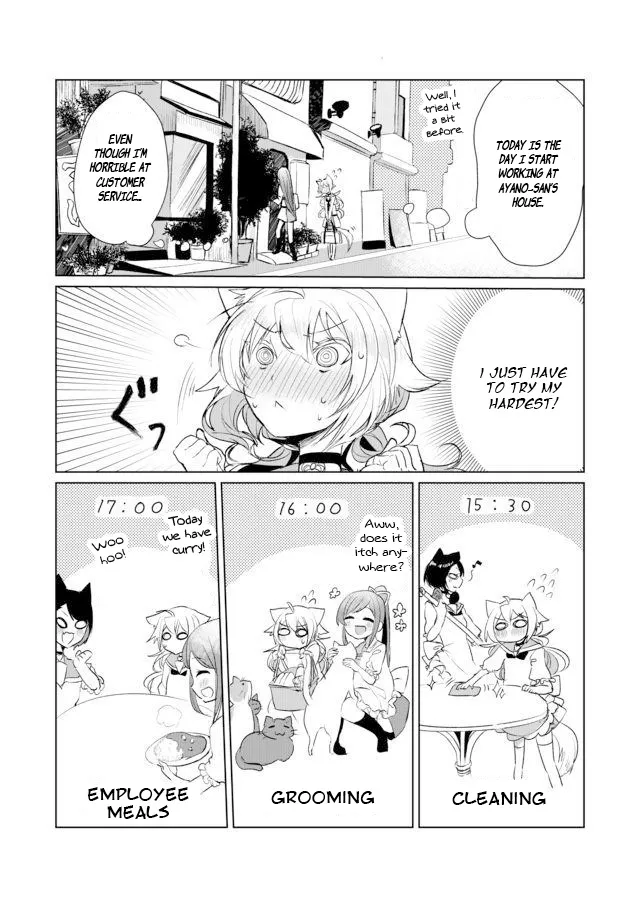 Nekomusume Shoukougun - Page 1