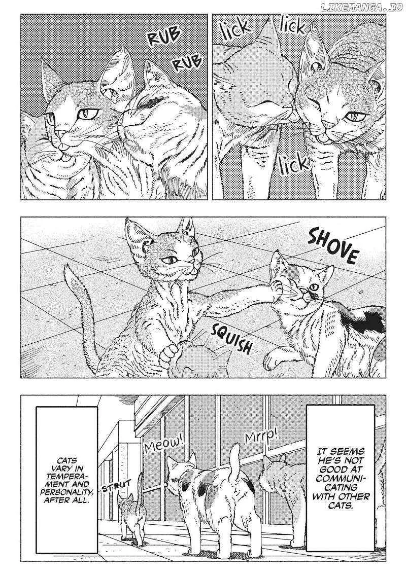 Nyaight of the Living Cat Chapter 9 page 7 - MangaKakalot