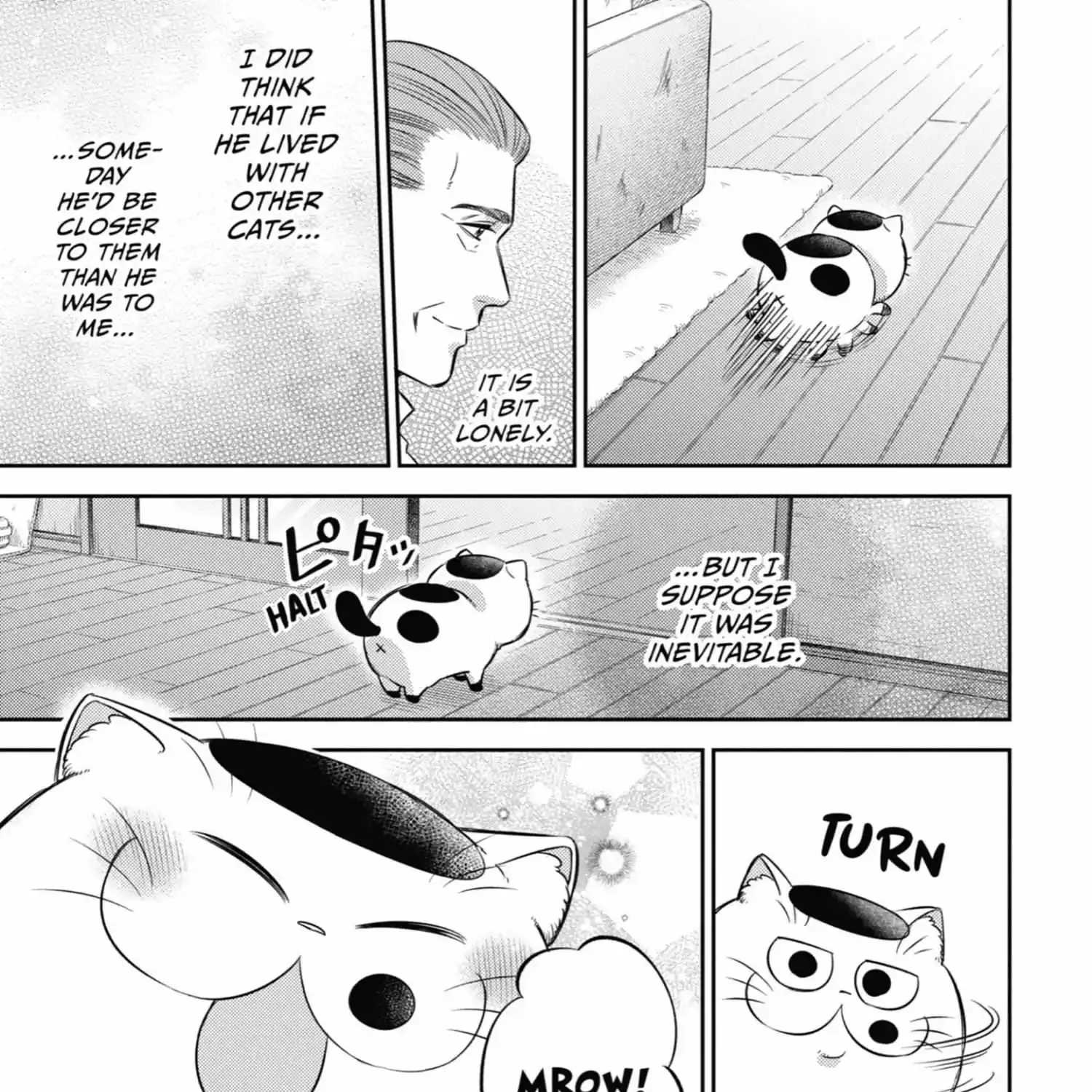 Ojisama To Neko Chapter 103 page 45 - MangaKakalot