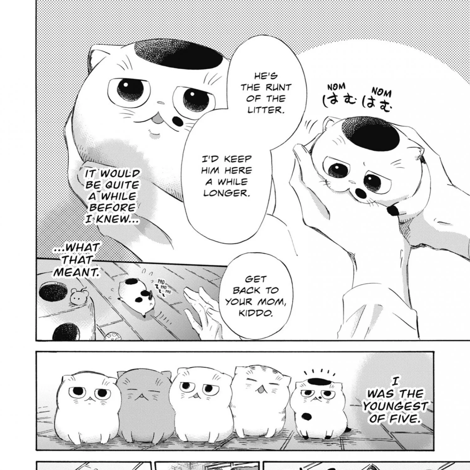 Ojisama To Neko Chapter 36.5 page 3 - MangaKakalot