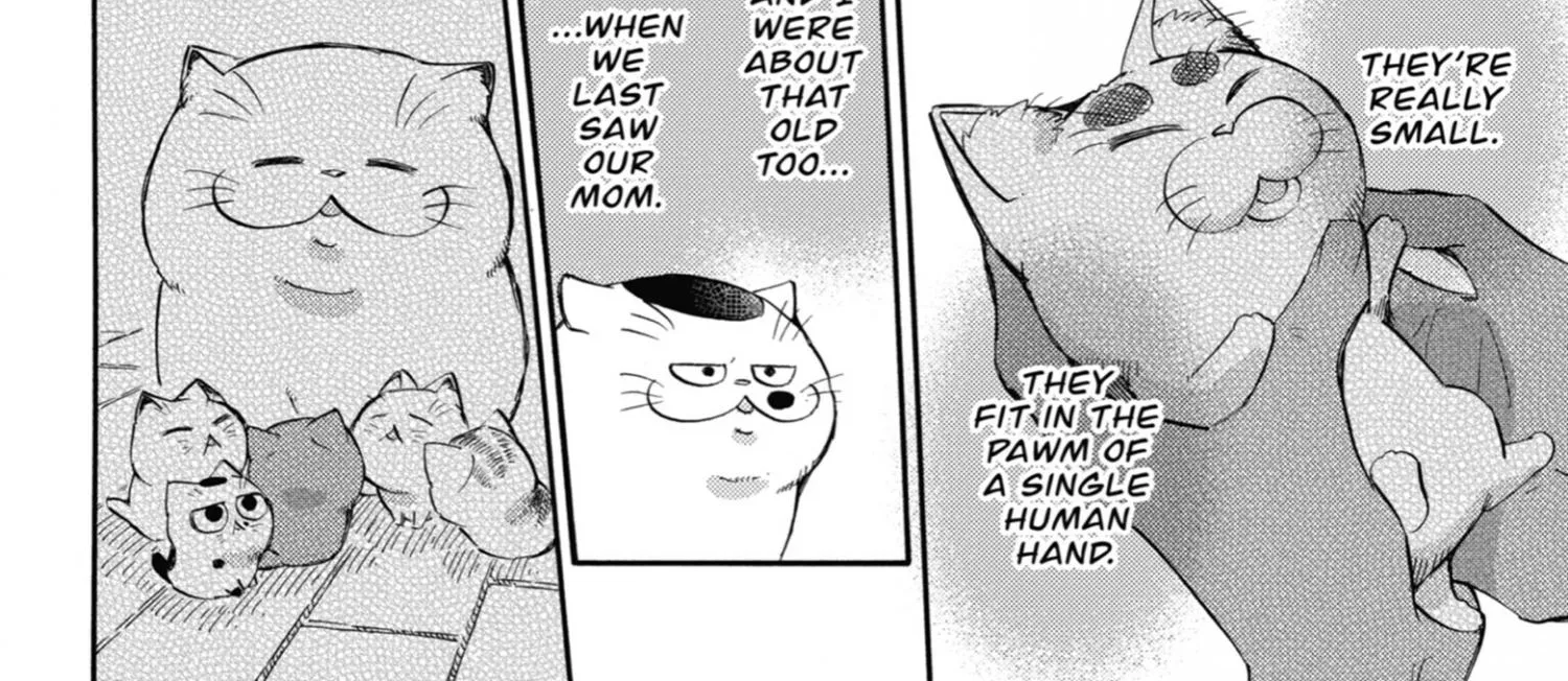 Ojisama To Neko Chapter 70 page 44 - MangaKakalot