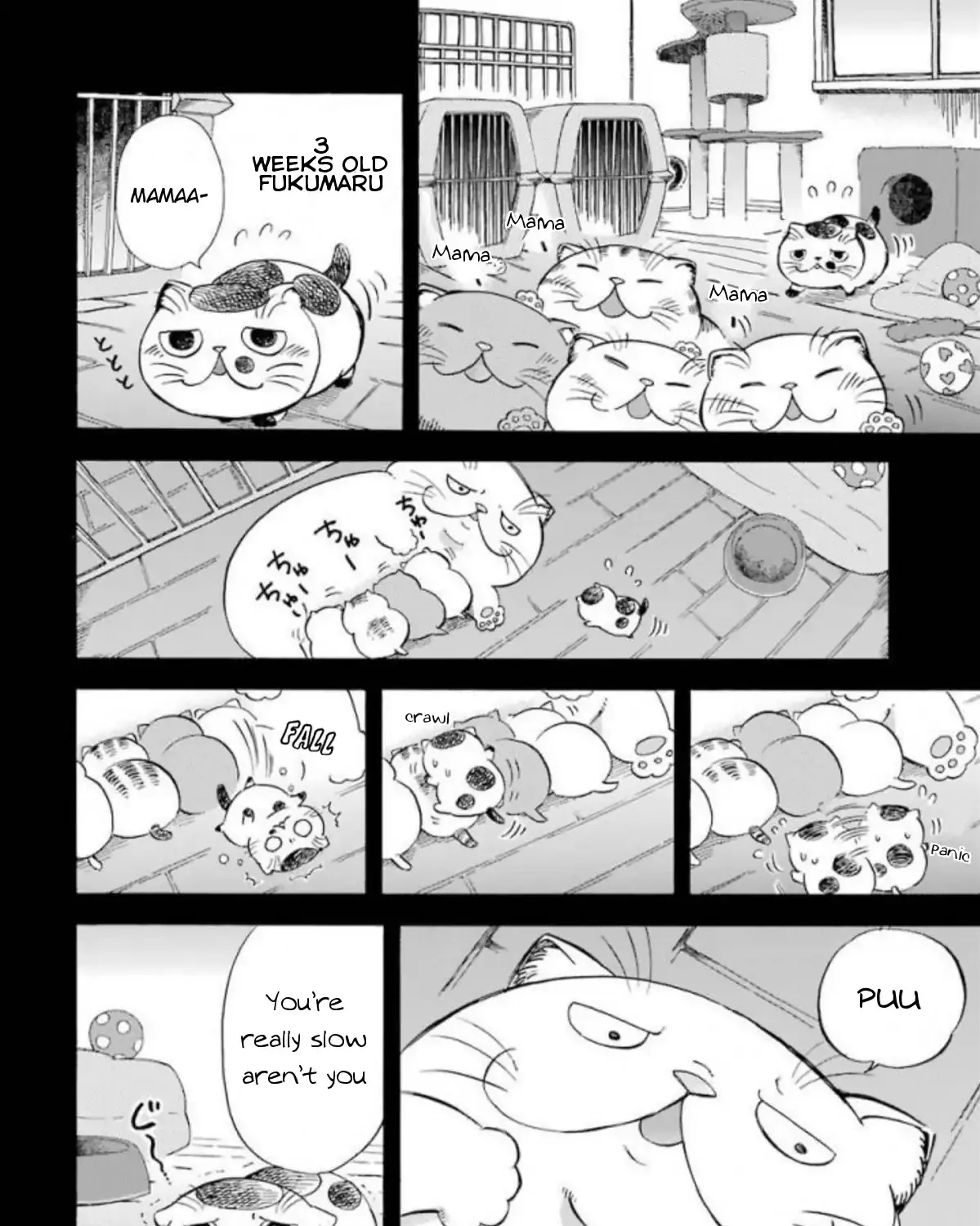 Ojisama To Neko Chapter 8 page 3 - MangaKakalot