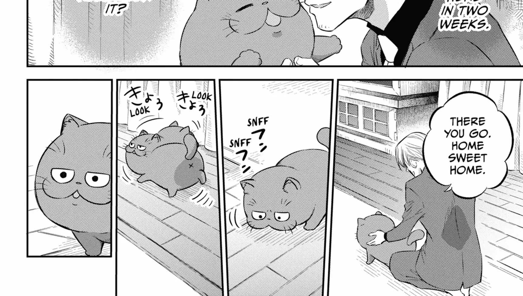 Ojisama To Neko Chapter 83 page 8 - MangaKakalot