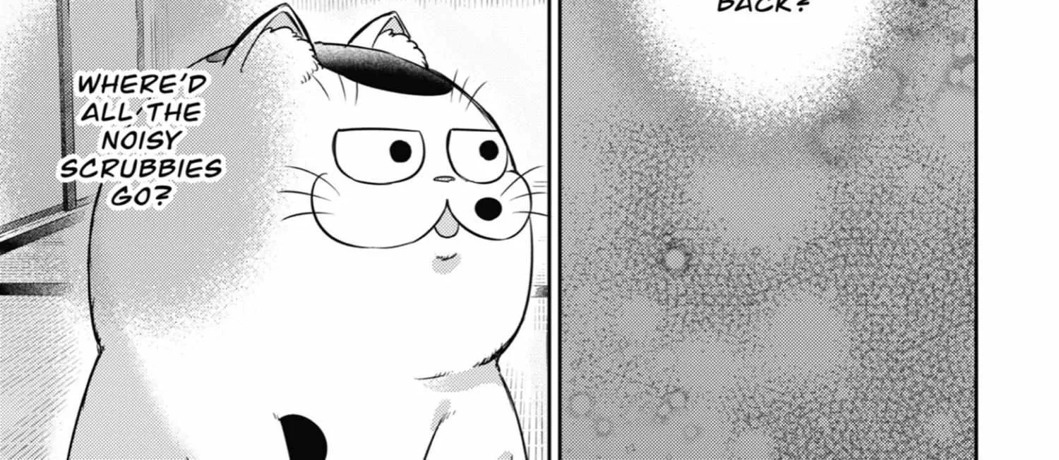 Ojisama To Neko Chapter 99 page 11 - MangaKakalot