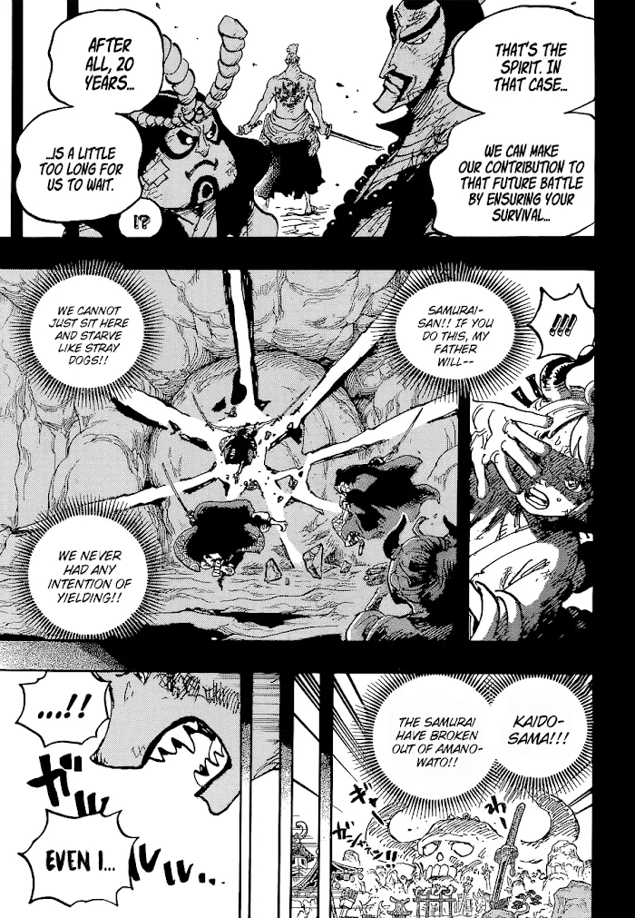 One Piece Chapter 1024 page 18 - MangaNato