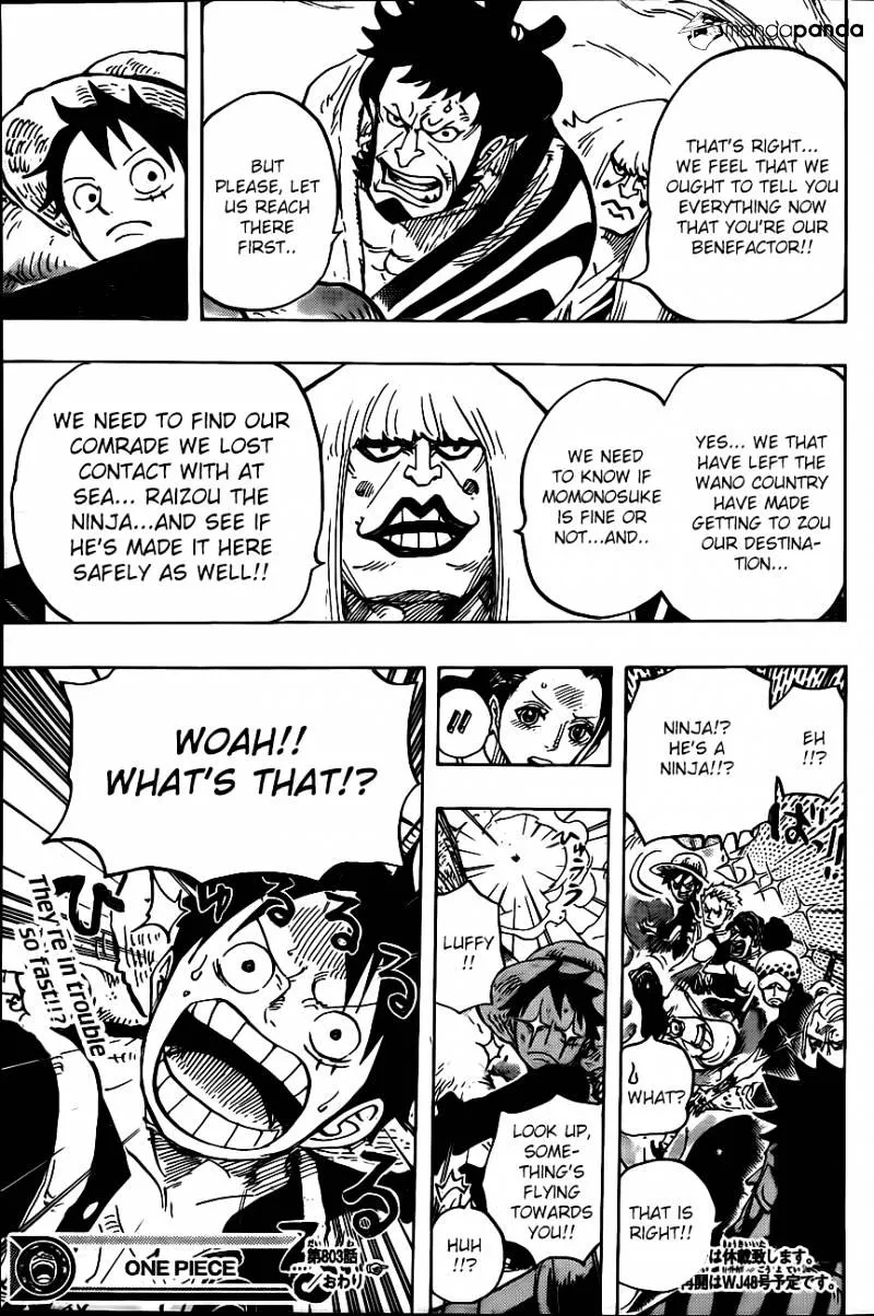 One Piece Chapter 803 page 13 - MangaNato