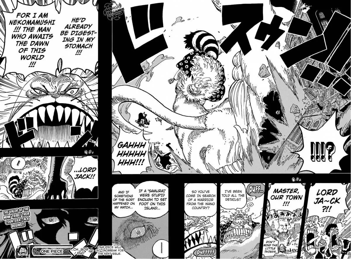 One Piece Chapter 809 page 18 - MangaNato