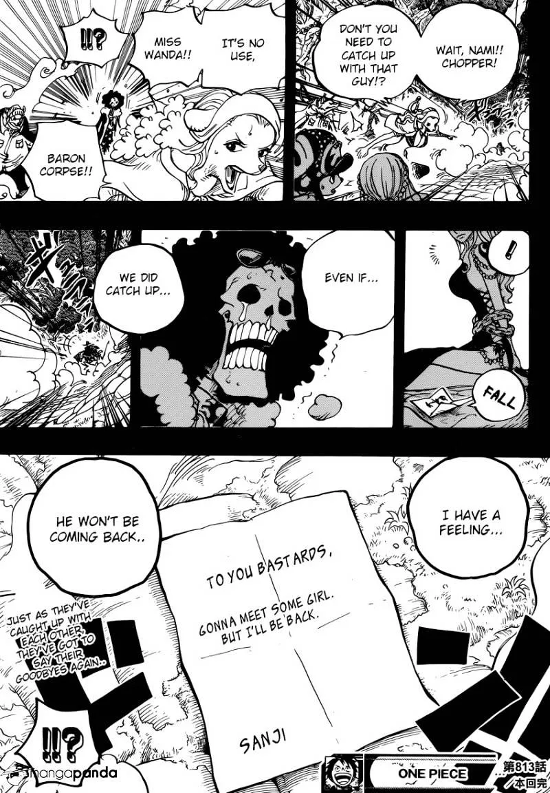 One Piece Chapter 813 page 17 - MangaNato