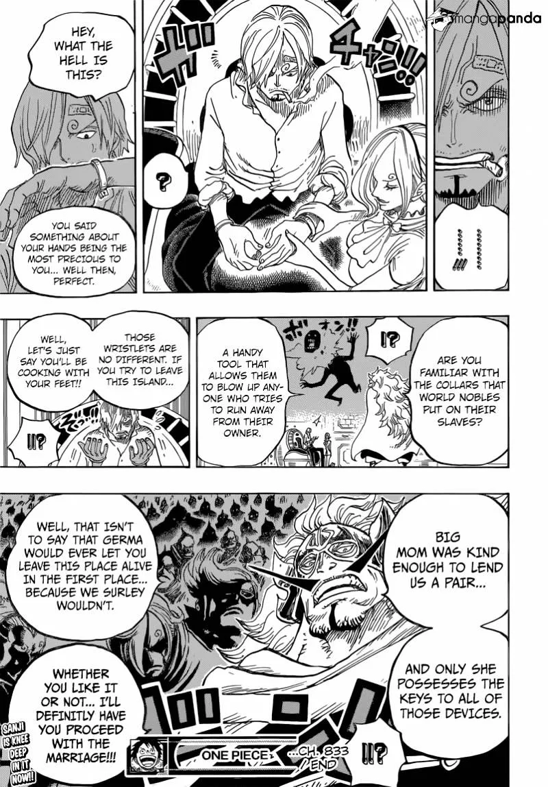 One Piece Chapter 833 page 22 - MangaNato